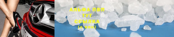 молекула духа Аркадак