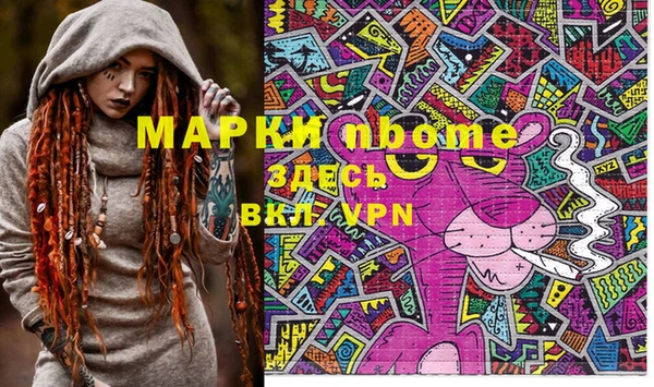 твердый Арсеньев