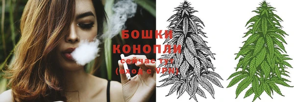 молекула духа Аркадак