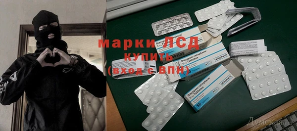 твердый Арсеньев