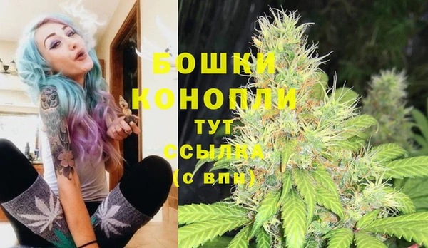 молекула духа Аркадак