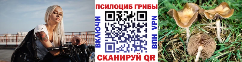 Псилоцибиновые грибы прущие грибы где купить наркотик Шиханы
